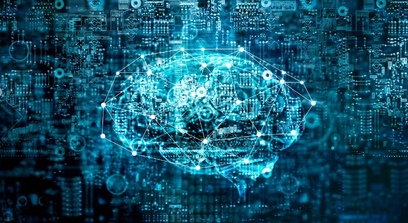 202503281743153844975334.jpg 202503281743153844975334.jpg